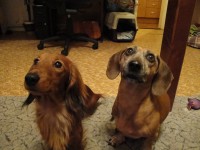 /album/spolecne-foto/arci-a-bery-jpg/